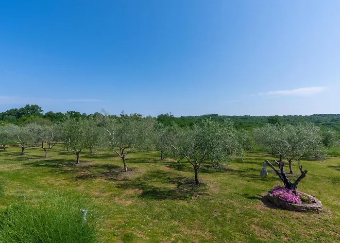 Βίλα Casa Claudia